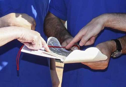 Orientación en la naturaleza